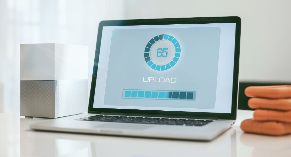 Merlin Software Updates(1) November 2024 updates